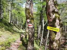 Wanderung Gschwendt 2026-07